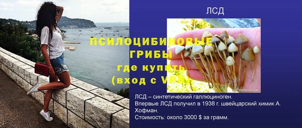 скорость Медвежьегорск