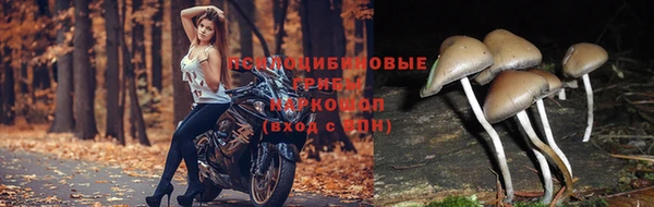 мдма Липки