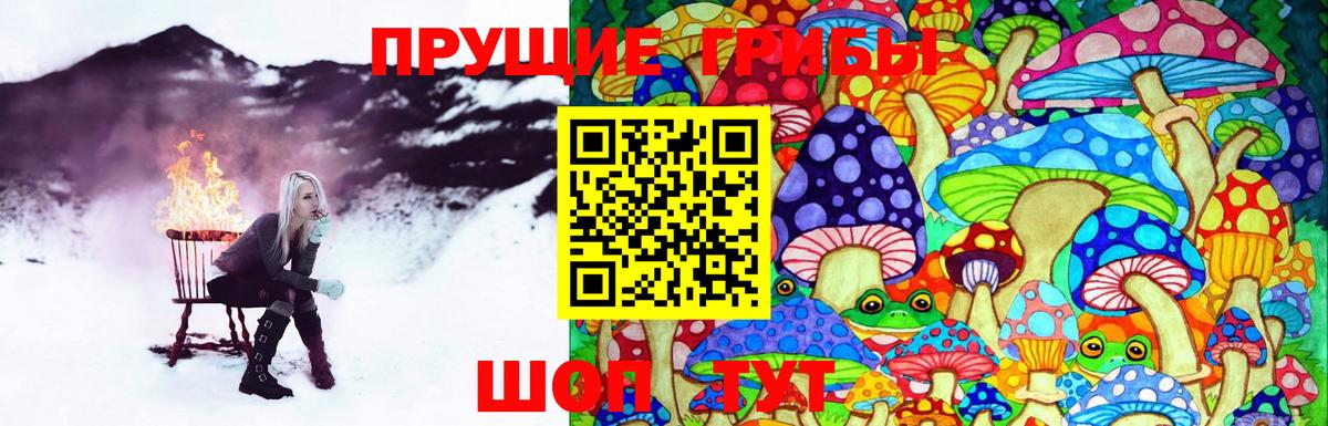 Конаково  Псилоцибиновые грибы Psilocybe  где купить   Вход с VPN 