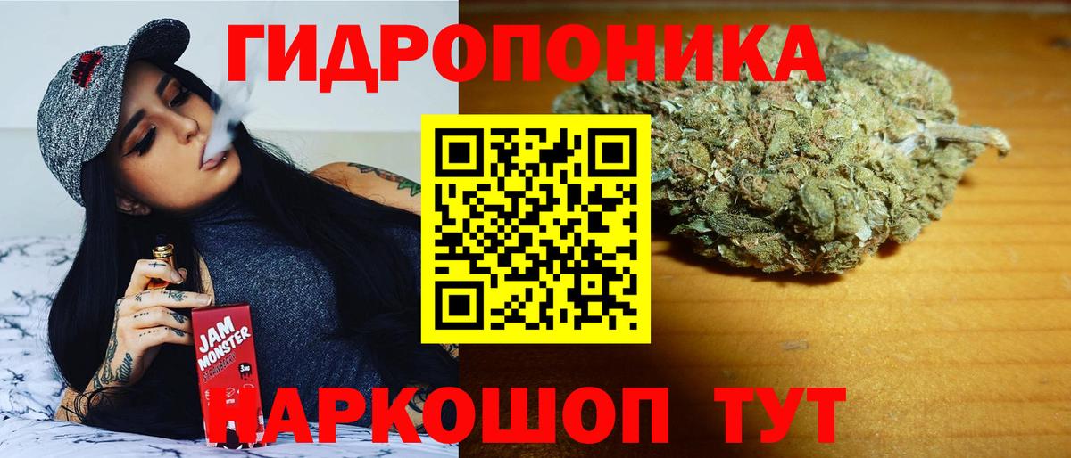 Конаково  Шишки марихуана семена  Вход с VPN  Канабис сатива  Конопля SATIVA & INDICA 